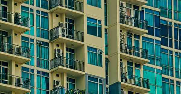 外国语单招大数据的行业文章