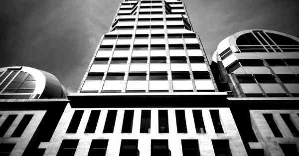 外国语单招大数据的行业文章