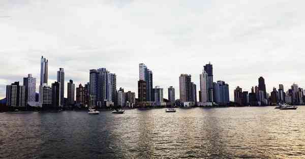 大数据影视软件