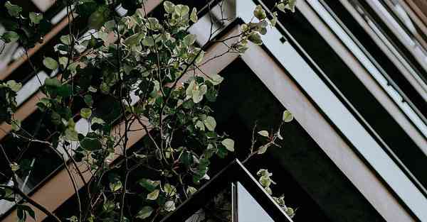 艾克智能清洁机器人 艾克智能清洁机器人怎么样