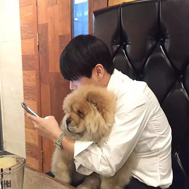阮策灵裕