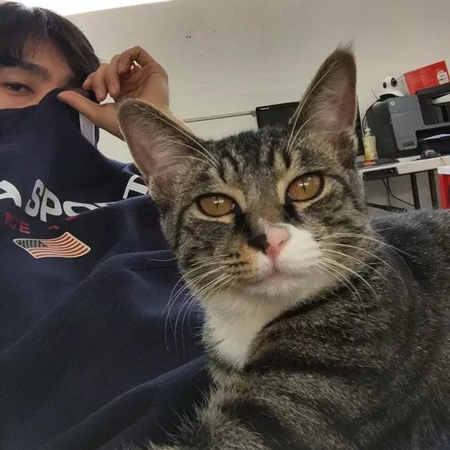 华壮先烁