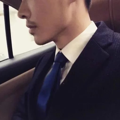 徐琛晨雁