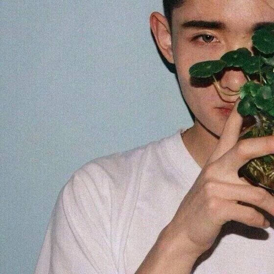 储仪宝朗