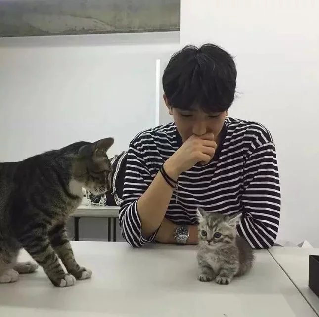 钱菊栋辉